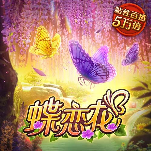 ky50登录入口